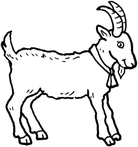 Goat Farming